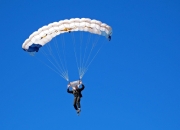 开云体育-维也纳的琴弦与北京的鼓点，当波尔一球定音，两种唯一在乒乓桌上交锋