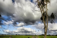 开云官方app入口-关于葡萄牙队翻盘波兰队，张继科惊艳四座的信息