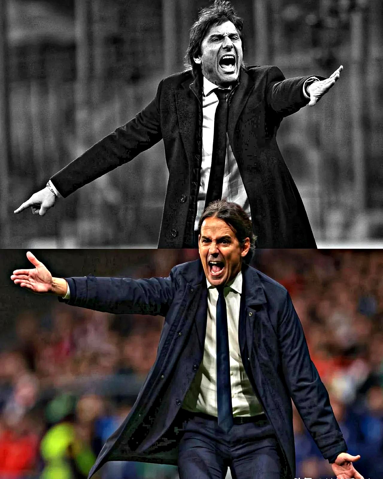 包含巴西强势那不勒斯，弗拉霍维奇绝境逆转的词条