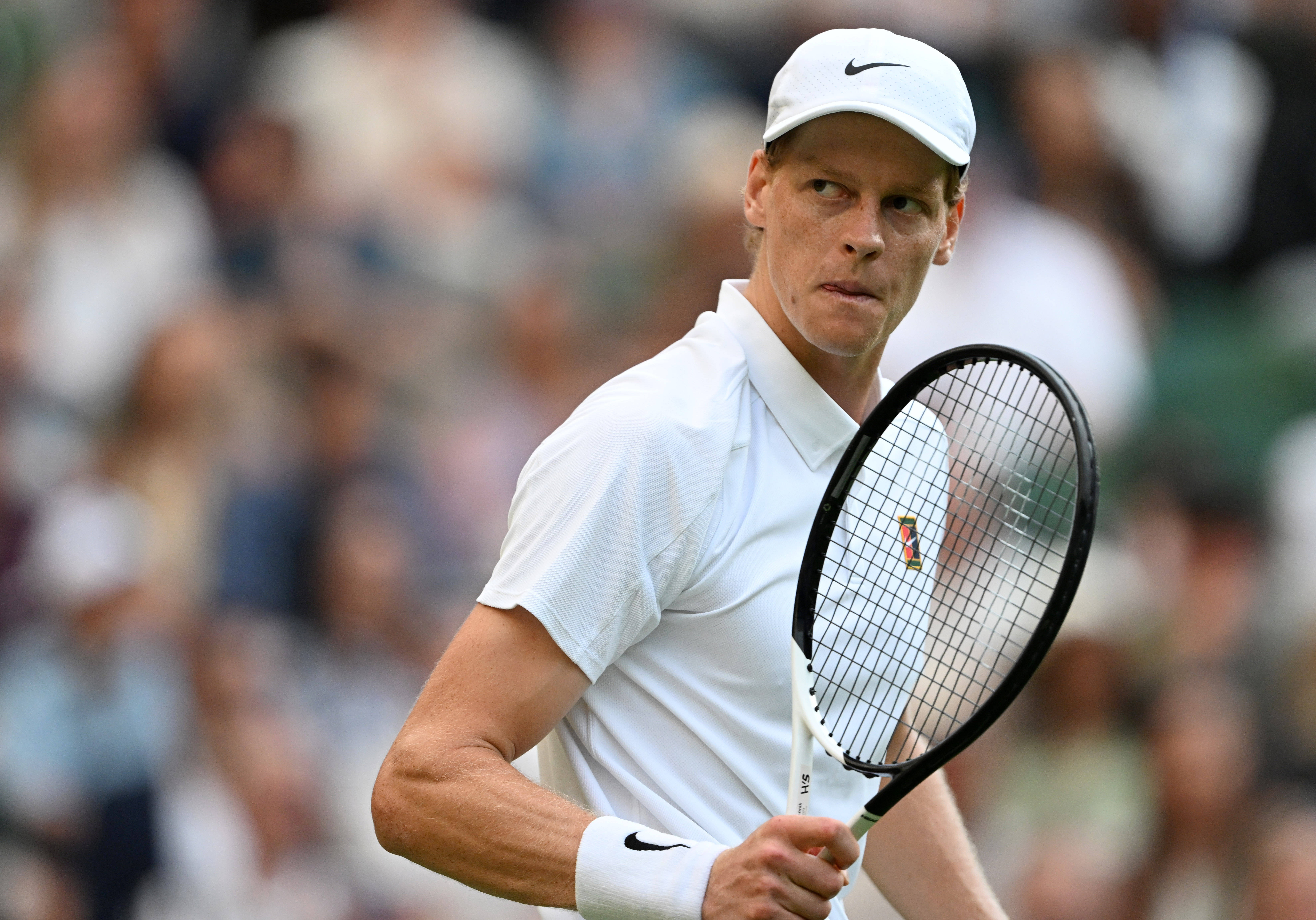 温网绝杀蒙特卡洛大师赛，辛纳带队取胜