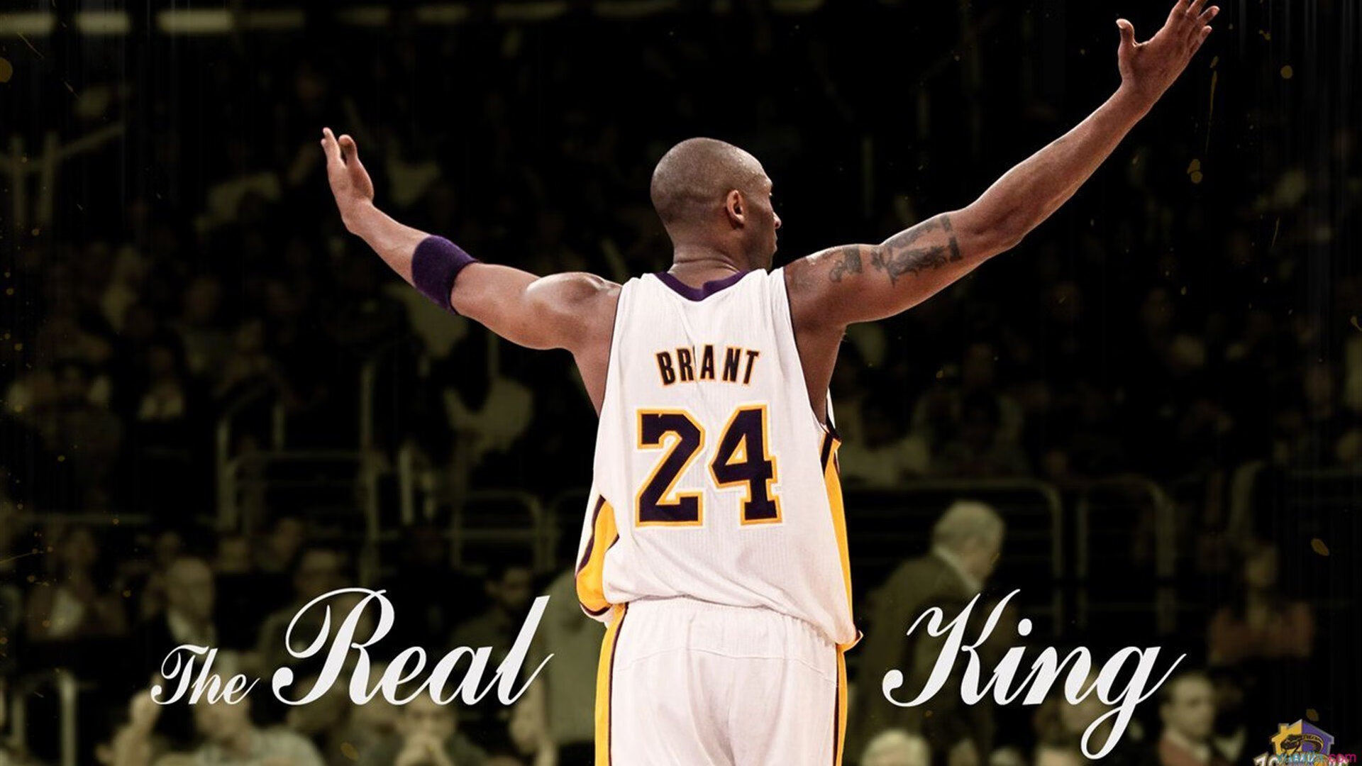 黄蜂正面击溃爵士,浓眉用实力证明自己,撕裂玻璃人标签