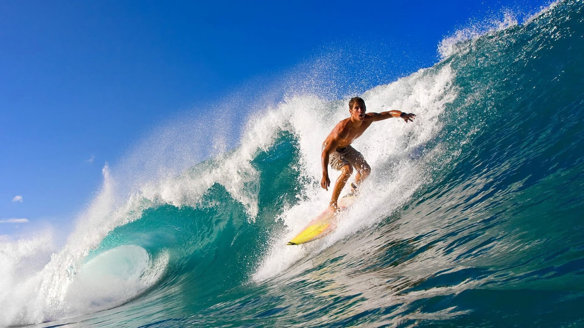 猛龙一波带走湖人，霍勒迪成为关键先生