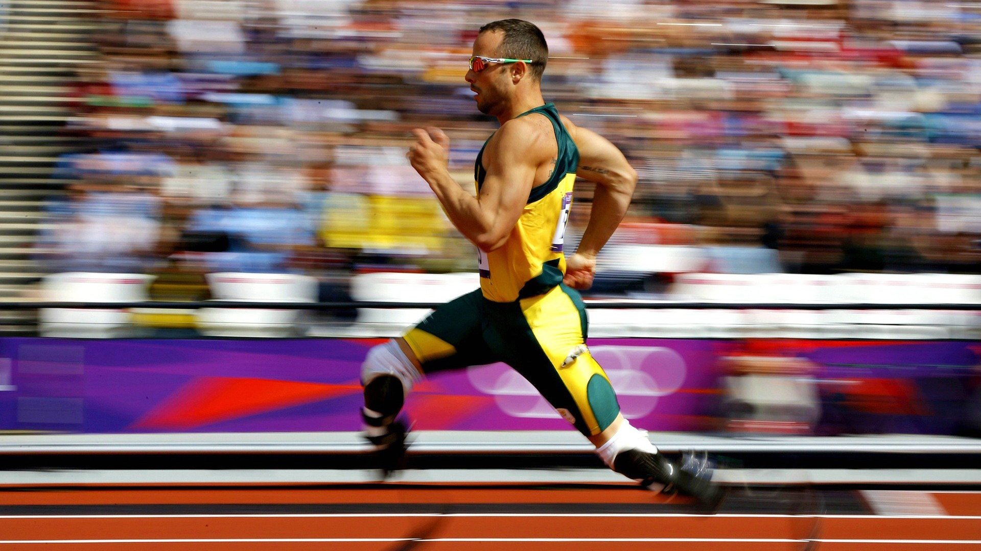 世界杯之夜,武切维奇的铁血防守,铸就不可逾越的屏障